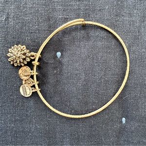 Alex and Ani bracelet